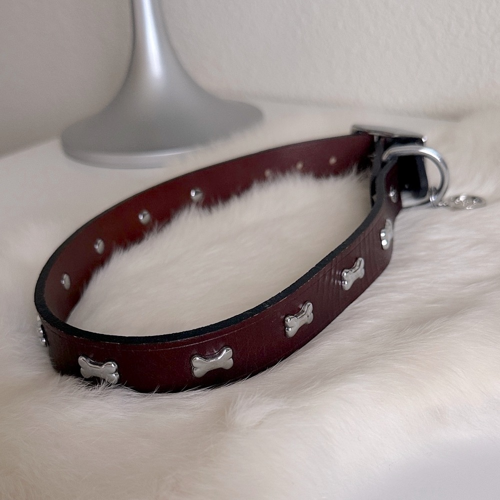 Large Dog Collar with Silver Bone Details